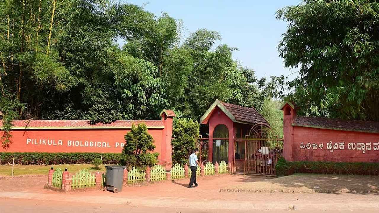 ಮಂಗಳೂರಿನ ಪಿಲಿಕುಳ ಉದ್ಯಾನವನದಲ್ಲಿ ಪ್ರಾಣಿಗಳ ನಿಗೂಢ ಸಾವು, ಕಾರಣವೇನು?