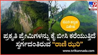 Personality Test: ಈ ಚಿತ್ರದಲ್ಲಿ ನಿಮ್ಗೆ ಅತಿ ಸುಂದರವಾಗಿ ಕಾಣಿಸುವ ಯುವತಿ ನಿಮ್ಮ ಜೀವನದ ರಹಸ್ಯವನ್ನು ಬಹಿರಂಗಪಡಿಸುತ್ತಾಳಂತೆ