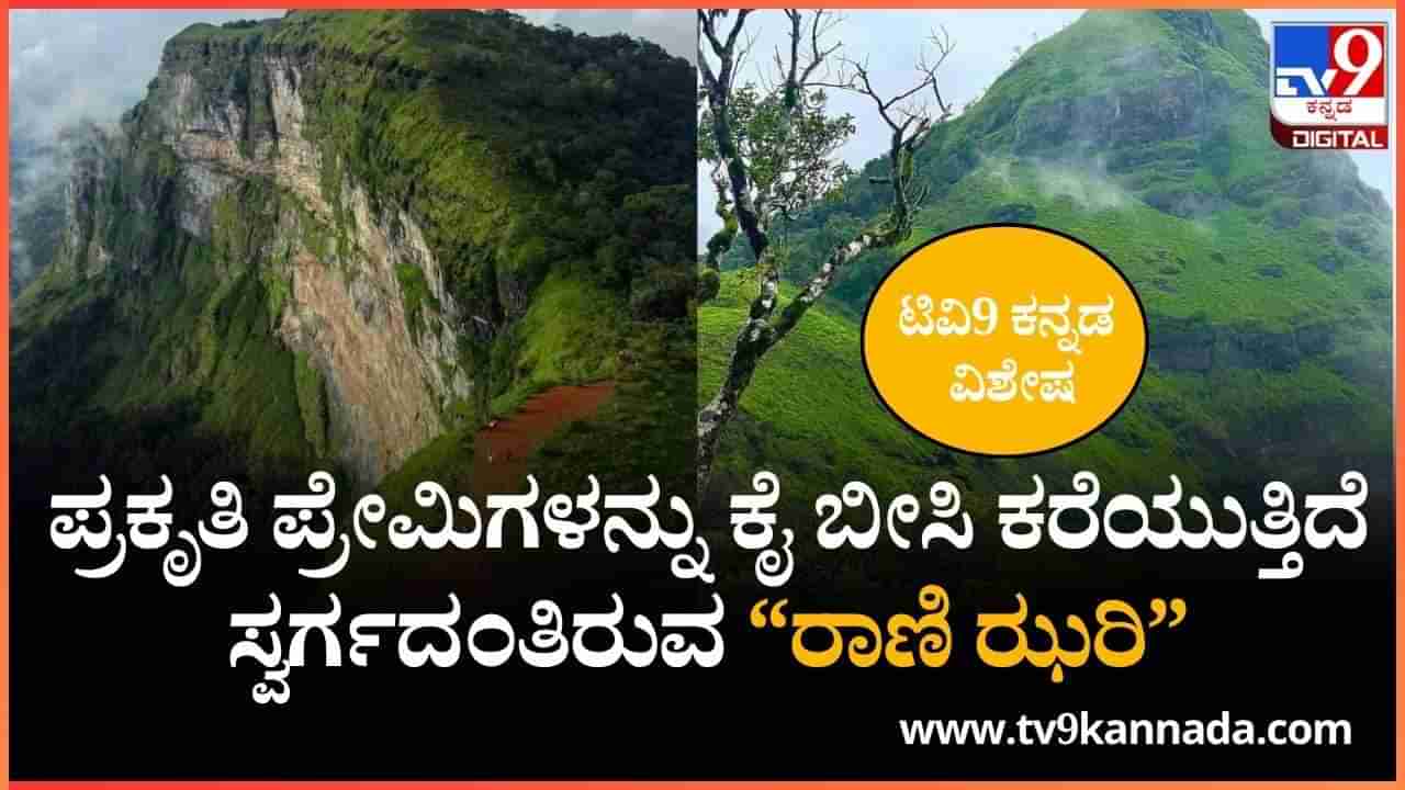 ಪ್ರಕೃತಿ ಪ್ರೇಮಿಗಳನ್ನು ಕೈ ಬೀಸಿ ಕರೆಯುತ್ತಿದೆ ಸ್ವರ್ಗದಂತಿರುವ “ರಾಣಿ ಝರಿ”