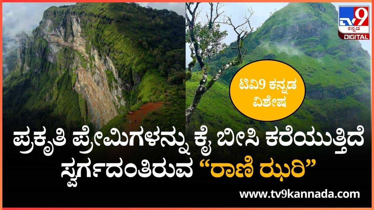 ಪ್ರಕೃತಿ ಪ್ರೇಮಿಗಳನ್ನು ಕೈ ಬೀಸಿ ಕರೆಯುತ್ತಿದೆ ಸ್ವರ್ಗದಂತಿರುವ “ರಾಣಿ ಝರಿ” ಪ್ರಕೃತಿ ಪ್ರೇಮಿಗಳನ್ನು ಕೈ ಬೀಸಿ ಕರೆಯುತ್ತಿದೆ ಸ್ವರ್ಗದಂತಿರುವ “ರಾಣಿ ಝರಿ”