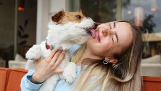 Russian Plane Missing: ಚೀನಾ ಗಡಿಯಲ್ಲಿ 50 ಪ್ರಯಾಣಿಕರಿದ್ದ ರಷ್ಯಾದ ವಿಮಾನ ನಾಪತ್ತೆ