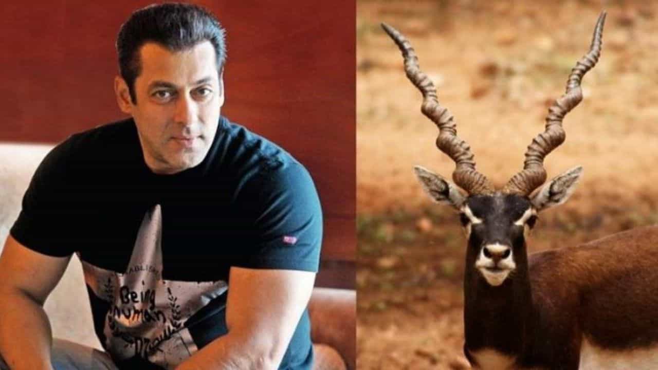 ಕೃಷ್ಣಮೃಗ ಭೇಟೆ ಪ್ರಕರಣ: ಸಲ್ಮಾನ್ ಖಾನ್ಗೆ ಅರ್ಜಿ ಮತ್ತೆ ವಿಚಾರಣೆಗೆ ಕೃಷ್ಣಮೃಗ ಭೇಟೆ ಪ್ರಕರಣ: ಸಲ್ಮಾನ್ ಖಾನ್ಗೆ ಅರ್ಜಿ ಮತ್ತೆ ವಿಚಾರಣೆಗೆ