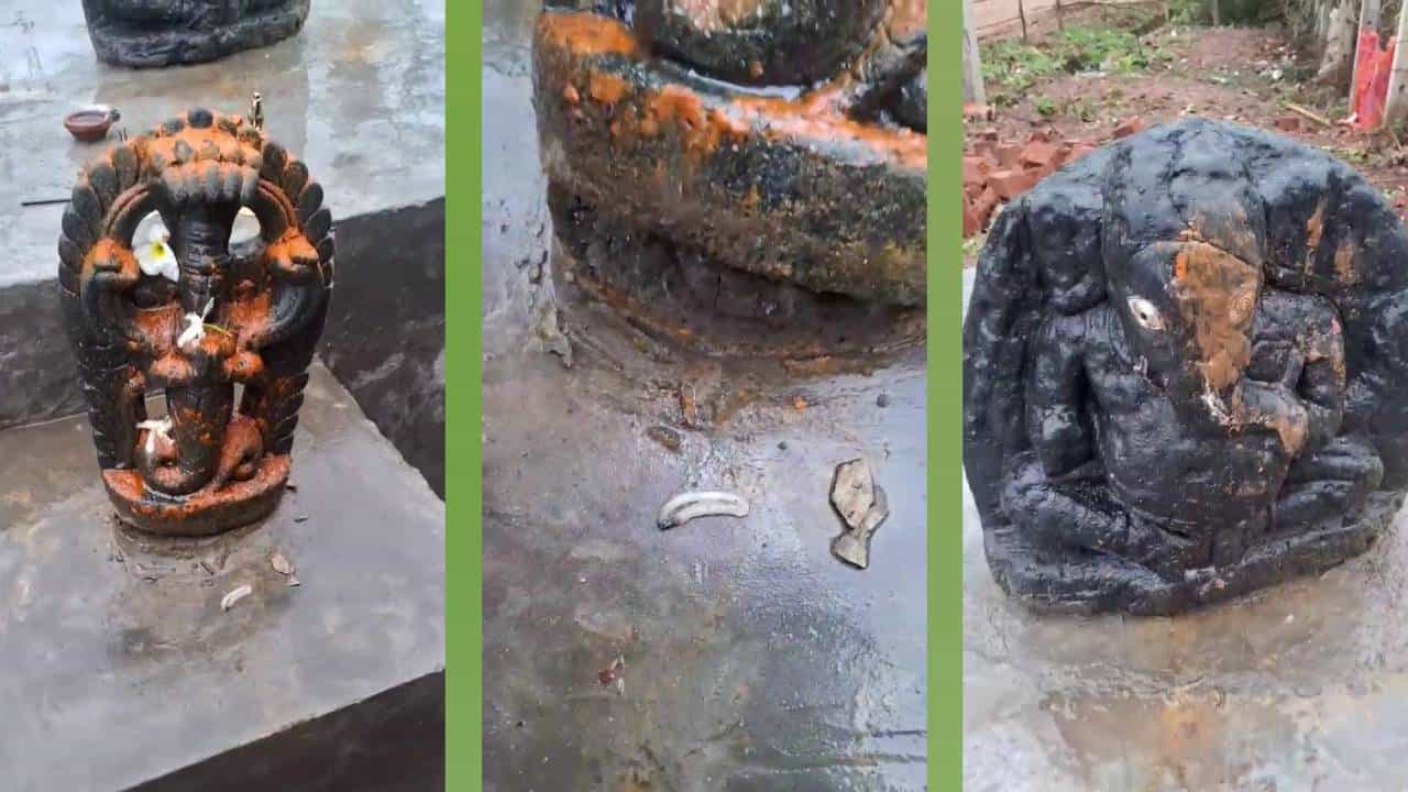 ಶಿವಮೊಗ್ಗ: ಗಣೇಶ ಮೂರ್ತಿಗೆ ಒದ್ದು, ನಾಗರ ವಿಗ್ರಹವನ್ನು ಅನ್ಯಕೋಮಿನ ವ್ಯಕ್ತಿ ಚರಂಡಿಗೆ ಎಸೆದ ಆರೋಪ