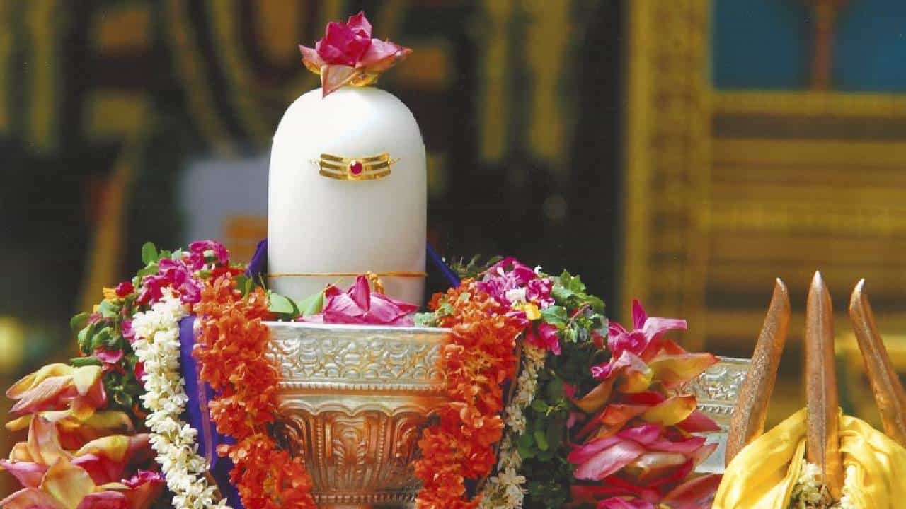 Shravan Month 2025: ಶನಿ ವಕ್ರದೃಷ್ಟಿಗೆ ಒಳಗಾಗಿದ್ದೀರಾ? ಶ್ರಾವಣ ಮಾಸದ ಶನಿವಾರ ಶಿವಲಿಂಗಕ್ಕೆ ಈ ವಸ್ತು ಅರ್ಪಿಸಿ