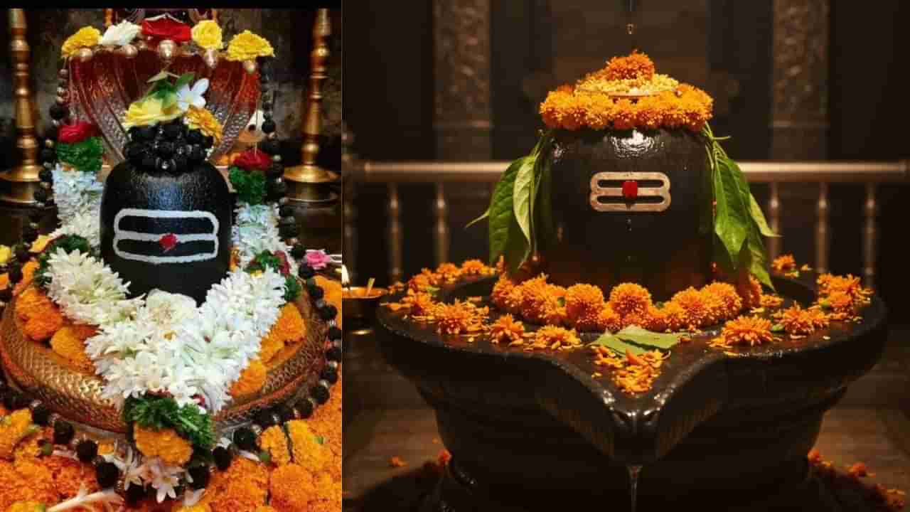 Shravan Month 2025: ಶಿವಲಿಂಗಕ್ಕೆ ಯಾವ ವಸ್ತು ಅರ್ಪಿಸಿದ್ರೆ ಏನು ಫಲ? ಸಂಪೂರ್ಣ ವಿವರ ಇಲ್ಲಿದೆ