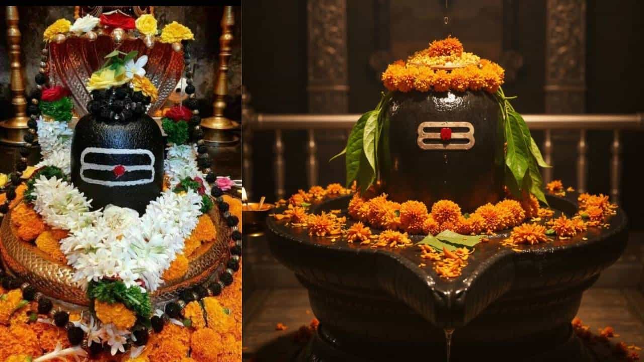 Shravan Month 2025: ಶಿವಲಿಂಗಕ್ಕೆ ಯಾವ ವಸ್ತು ಅರ್ಪಿಸಿದ್ರೆ ಏನು ಫಲ? ಸಂಪೂರ್ಣ ವಿವರ ಇಲ್ಲಿದೆ