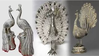 ಶ್ರಾವಣ ಮಾಸದಲ್ಲಿ ಮಳೆ ನೀರಿನಿಂದ ಈ ಪರಿಹಾರಗಳನ್ನು ಮಾಡಿ; ಎಲ್ಲಾ ಸಮಸ್ಯೆಯಿಂದ ಮುಕ್ತಿ ಪಡೆಯುವಿರಿ