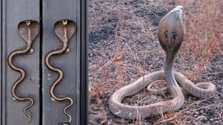 Numerology Prediction: ಸಂಖ್ಯಾಶಾಸ್ತ್ರ ಪ್ರಕಾರ ಜನ್ಮಸಂಖ್ಯೆಗೆ ಅನುಗುಣವಾಗಿ ಜುಲೈ 23ರ ದಿನಭವಿಷ್ಯ