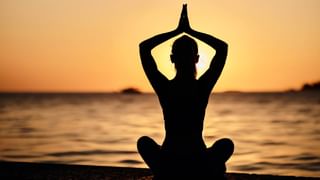 ಹೊಟ್ಟೆಯ ಕೊಬ್ಬು ಕರಗಿಸಲು ಪ್ರತಿದಿನ ಈ ಎಲೆಯನ್ನು ಖಾಲಿ ಹೊಟ್ಟೆಯಲ್ಲಿ ತಿನ್ನಿ