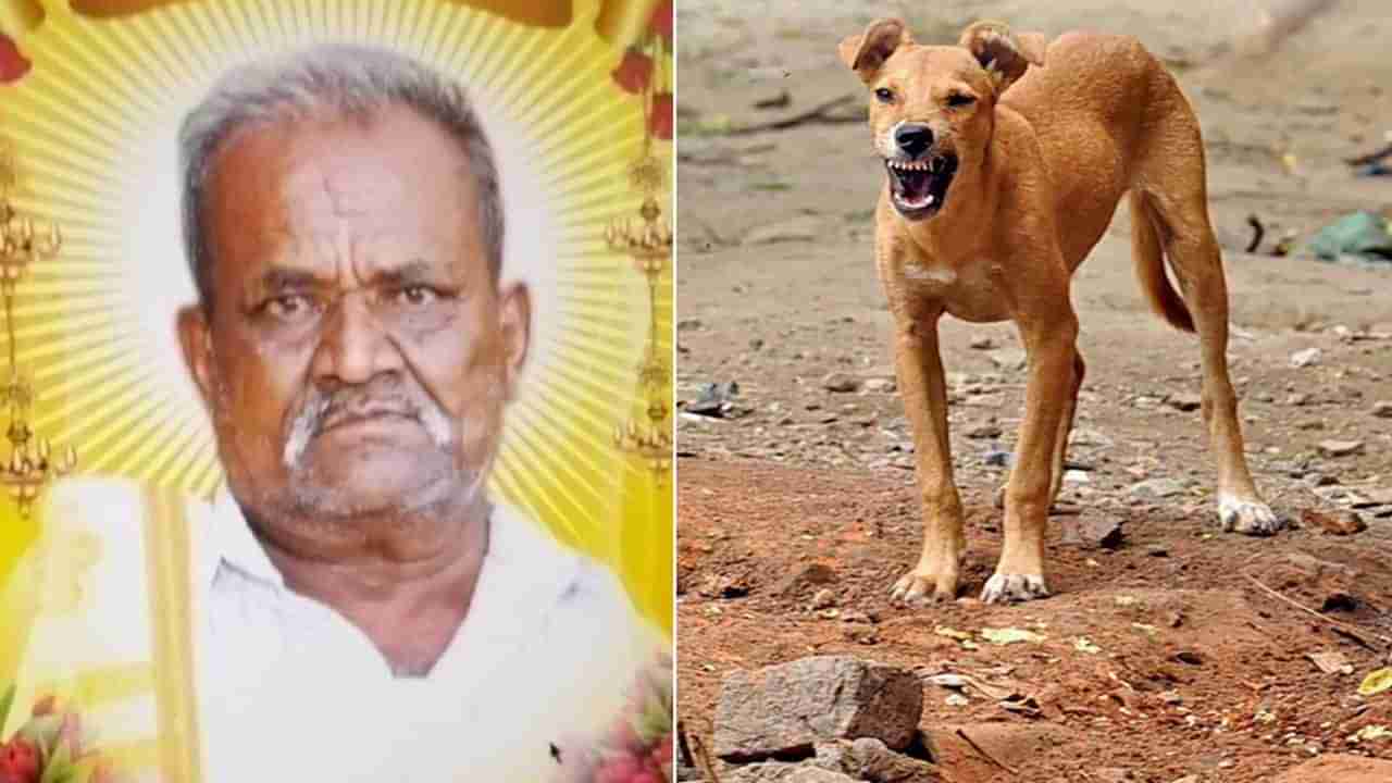 ಬೆಂಗಳೂರು: ಬಿಬಿಎಂಪಿ ಬಾಡೂಟ ಹಾಕುವುದಕ್ಕೂ ಮೊದಲೇ ಬೀದಿನಾಯಿಗಳ ಅಟ್ಟಹಾಸ; ಡೆಡ್ಲಿ ದಾಳಿಗೆ ವ್ಯಕ್ತಿ ಬಲಿ