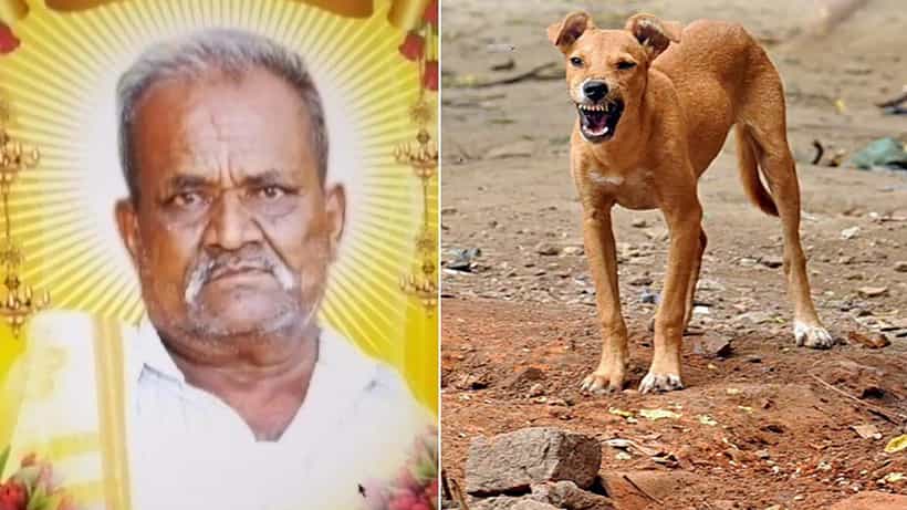 ಬೆಂಗಳೂರು: ಬಿಬಿಎಂಪಿ ಬಾಡೂಟ ಹಾಕುವುದಕ್ಕೂ ಮೊದಲೇ ಬೀದಿನಾಯಿಗಳ ಅಟ್ಟಹಾಸ; ಡೆಡ್ಲಿ ದಾಳಿಗೆ ವ್ಯಕ್ತಿ ಬಲಿ