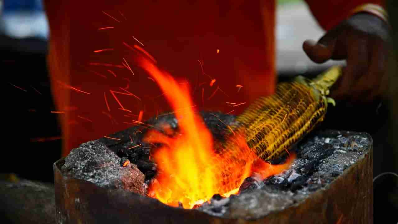 ರುಚಿ ಜೊತೆ ಆರೋಗ್ಯ ಪ್ರಯೋಜನ ನೀಡುವ ಬೀದಿ ಬದಿಯ ಆಹಾರ ಯಾವುದು ಗೊತ್ತಾ?