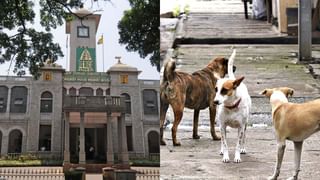 ಹೊಸ ಐದು ಐರಾವತ ಕ್ಲಬ್ ಕ್ಲಾಸ್ 2.0 ಬಸ್​​ಗಳಿಗೆ ಸಚಿವ ರಾಮಲಿಂಗಾರೆಡ್ಡಿ ಚಾಲನೆ