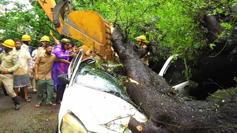 ಕಾರವಾರದಲ್ಲಿ ಮುಂದುವರಿದ ಮಳೆ ಅವಾಂತರ: ಕಾರಿನ ಮೇಲೆ ಮರ ಬಿದ್ದು ಅತ್ತೆ ಸಾವು, ಸೊಸೆ ಪಾರು