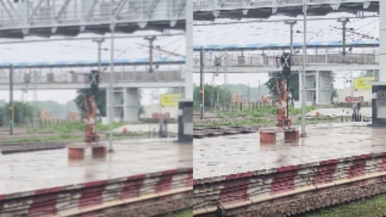Viral: ಮಳೆಯ ಮಧ್ಯೆ ರೈಲ್ವೆ ಪ್ಲಾಟ್ಫಾರ್ಮ್ನಲ್ಲಿ ಯೋಗ ಮಾಡಿದ ವೃದ್ಧ ವ್ಯಕ್ತಿ Viral: ಮಳೆಯ ಮಧ್ಯೆ ರೈಲ್ವೆ ಪ್ಲಾಟ್ಫಾರ್ಮ್ನಲ್ಲಿ ಯೋಗ ಮಾಡಿದ ವೃದ್ಧ ವ್ಯಕ್ತಿ