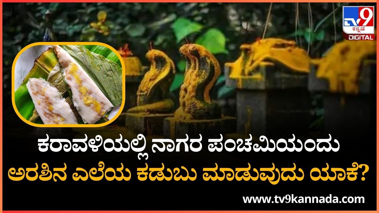 Naga Panchami 2025: ಕರಾವಳಿಯಲ್ಲಿ ನಾಗರ ಪಂಚಮಿಯಂದು ಅರಶಿನ ಎಲೆಯ ಕಡುಬು ಮಾಡುವುದು ಯಾಕೆ? ಈ ಬಗ್ಗೆ ಅರ್ಚಕರು ಹೇಳೋದೇನು?