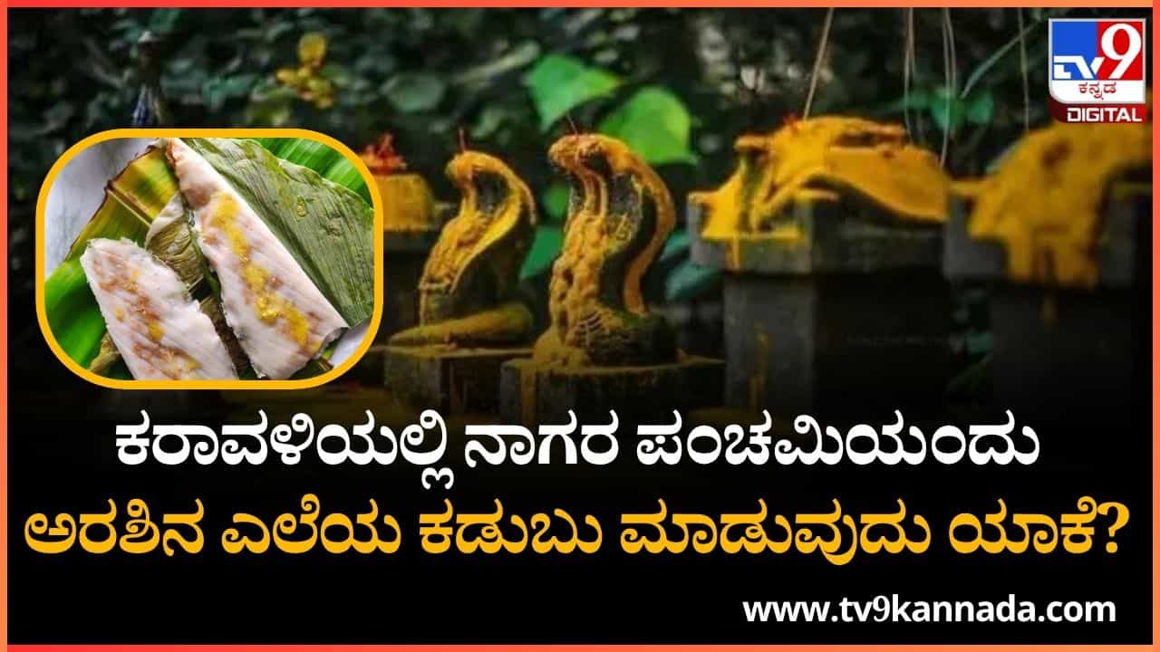 Naga Panchami 2025: ಕರಾವಳಿಯಲ್ಲಿ ನಾಗರ ಪಂಚಮಿಯಂದು ಅರಶಿನ ಎಲೆಯ ಕಡುಬು ಮಾಡುವುದು ಯಾಕೆ? ಈ ಬಗ್ಗೆ ಅರ್ಚಕರು ಹೇಳೋದೇನು? Naga Panchami 2025: ಕರಾವಳಿಯಲ್ಲಿ ನಾಗರ ಪಂಚಮಿಯಂದು ಅರಶಿನ ಎಲೆಯ ಕಡುಬು ಮಾಡುವುದು ಯಾಕೆ? ಈ ಬಗ್ಗೆ ಅರ್ಚಕರು ಹೇಳೋದೇನು?