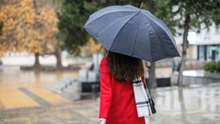 Patanjali: ತೂಕ ನಿರ್ವಹಣೆಗೆ ಆಯುರ್ವೇದ: ಬಾಬಾ ರಾಮದೇವ್ ಅವರ ಯೋಗ ಮತ್ತು ಆಹಾರ ಕ್ರಮಗಳು