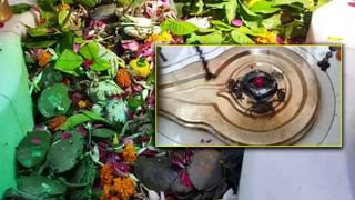 Nag Panchami 2025: ಕಾಳಸರ್ಪ ದೋಷದಿಂದ ಬಳಲುತ್ತಿದ್ದೀರಾ, ನಾಗರ ಪಂಚಮಿಯಂದು ಈ ಪರಿಹಾರ ಮಾಡಿ