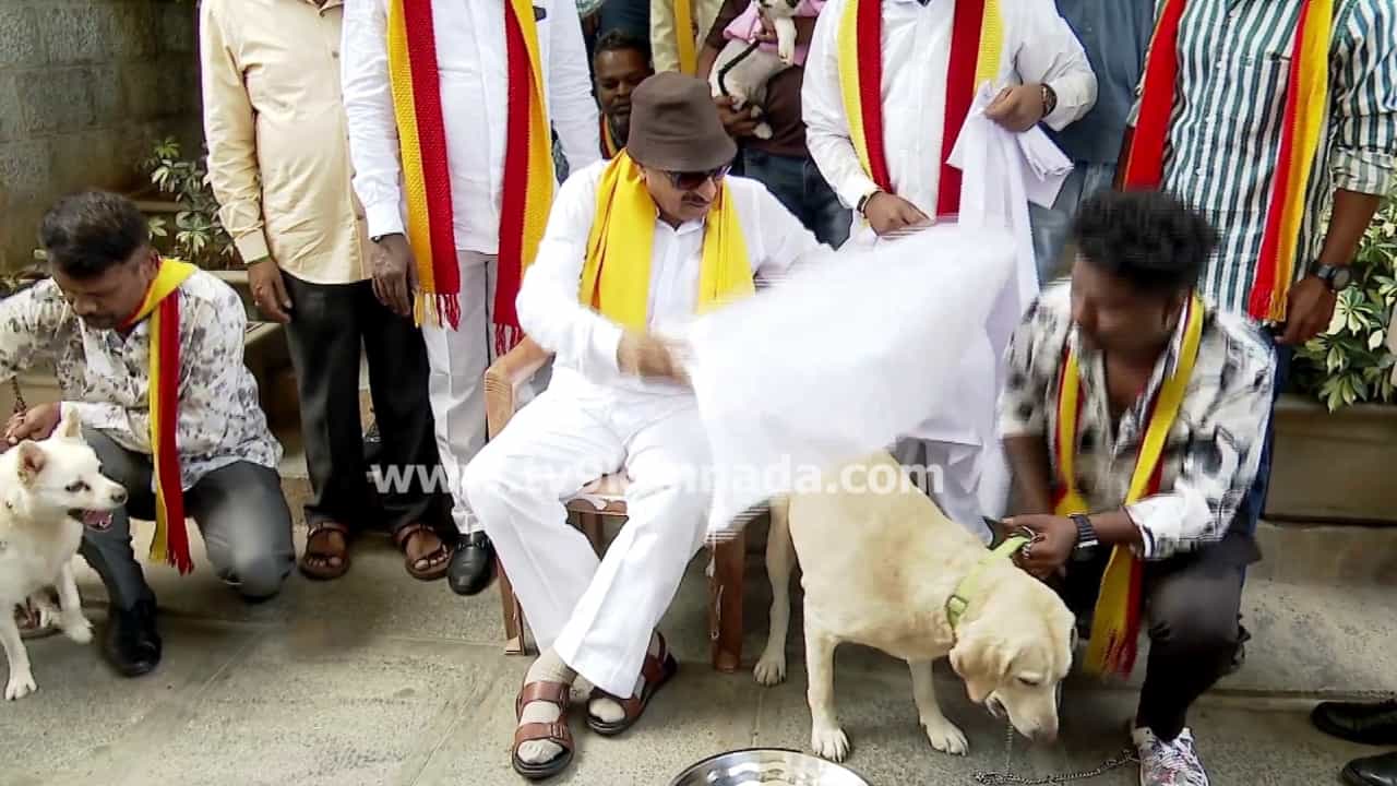 ನಾಯಿಗಳಿಗೆ ಶಾಲು ಹೊದೆಸಿ ಸನ್ಮಾನ: ಬಿಬಿಎಂಪಿ ಕಚೇರಿ ಎದುರೇ ವಾಟಾಳ್ ವಿಭಿನ್ನ ಕಾರ್ಯಕ್ರಮ! ನಾಯಿಗಳಿಗೆ ಶಾಲು ಹೊದೆಸಿ ಸನ್ಮಾನ: ಬಿಬಿಎಂಪಿ ಕಚೇರಿ ಎದುರೇ ವಾಟಾಳ್ ವಿಭಿನ್ನ ಕಾರ್ಯಕ್ರಮ!