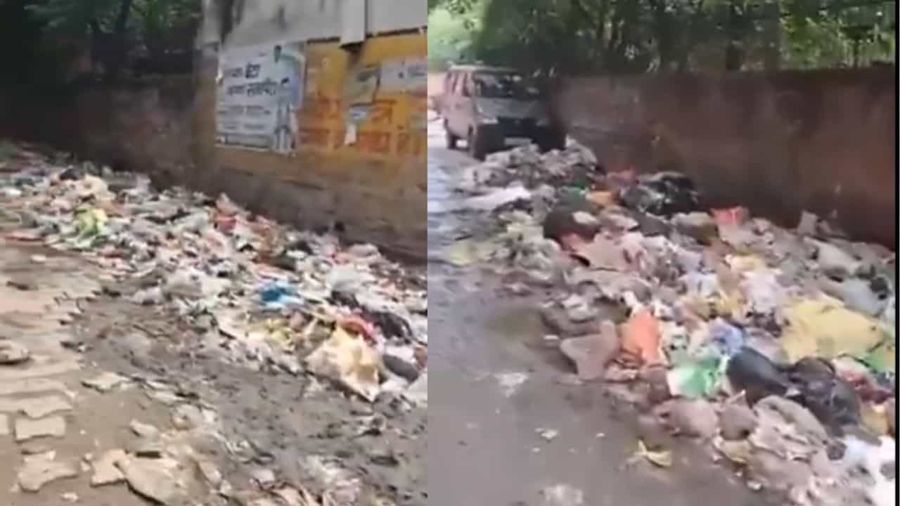 Video : ಭಾರತದಲ್ಲಿ ಇಷ್ಟೊಂದು ಕಸನಾ? ನಾನು ಇಷ್ಟೊಂದು ಕೊಳಕು ಎಂದಿಗೂ ನೋಡಿಲ್ಲ ಎಂದ ಫ್ರೆಂಚ್ ಮಹಿಳೆ Video : ಭಾರತದಲ್ಲಿ ಇಷ್ಟೊಂದು ಕಸನಾ? ನಾನು ಇಷ್ಟೊಂದು ಕೊಳಕು ಎಂದಿಗೂ ನೋಡಿಲ್ಲ ಎಂದ ಫ್ರೆಂಚ್ ಮಹಿಳೆ