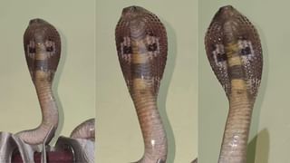 Optical Illusion : ಈ ಚಿತ್ರದಲ್ಲಿ 25, 7 ರ ನಡುವೆ ಅಡಗಿರುವ 52 ಸಂಖ್ಯೆಯನ್ನು ಹುಡುಕಲು ನಿಮ್ಮಿಂದ ಸಾಧ್ಯನಾ?