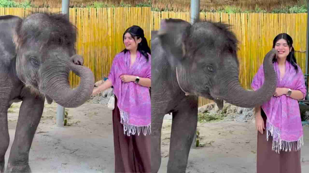 Video: ಉದ್ಯಾನವನಕ್ಕೆ ಭೇಟಿ ನೀಡಿದ ಮಹಿಳೆಯ ಕೆನ್ನೆಗೆ ಚುಂಬಿಸಿದ ಮರಿಯಾನೆ