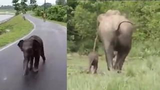 Viral: ಸಾರ್ವಜನಿಕವಾಗಿ ನೀಲಿ ಬಣ್ಣದ ಜೀನ್ಸ್ ಪ್ಯಾಂಟ್ ಹಾಕುವಂತಿಲ್ಲ, ರೂಲ್ಸ್​​ ಬ್ರೇಕ್​ ಮಾಡಿದ್ರೆ ಶಿಕ್ಷೆ ಗ್ಯಾರಂಟಿ