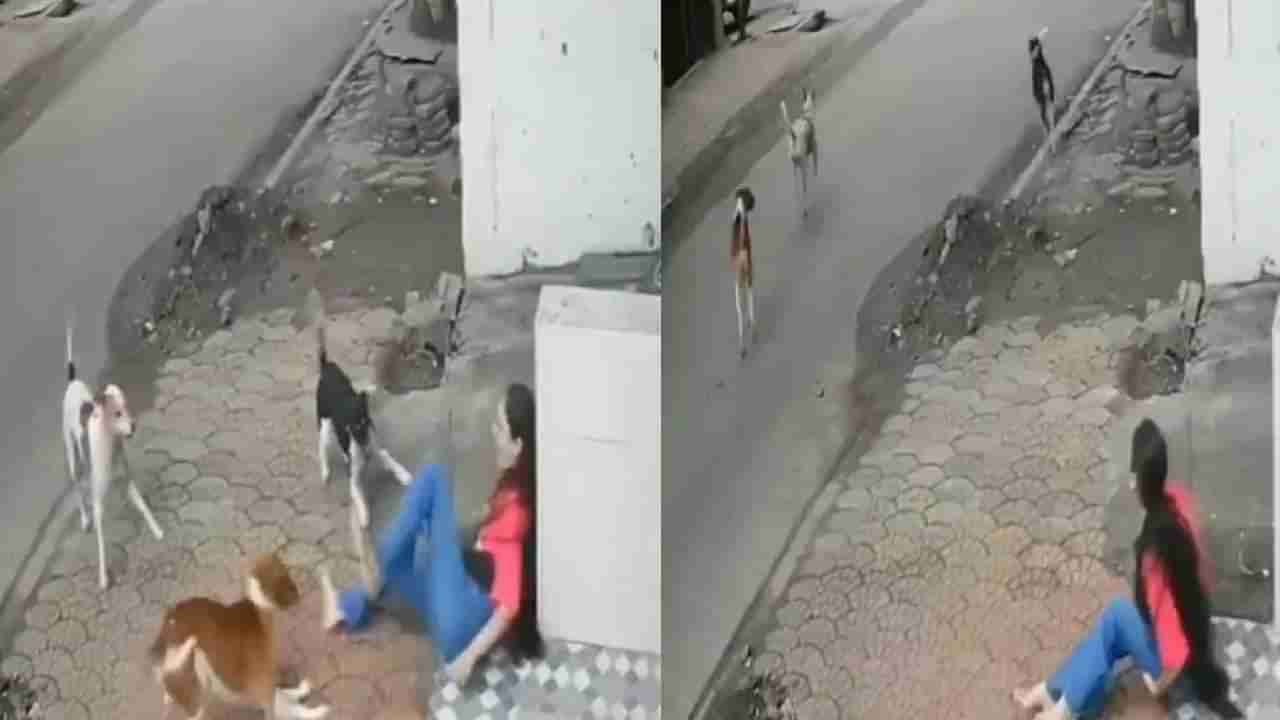 Video: ಕಾಲೇಜು ಯುವತಿಯ ಮೇಲೆ ಬೀದಿ ನಾಯಿಗಳ ಡೆಡ್ಲಿ ಅಟ್ಯಾಕ್; ಭಯಾನಕ ದೃಶ್ಯ ವೈರಲ್