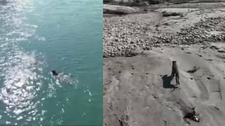 Video: ಕಾಲೇಜು ಯುವತಿಯ ಮೇಲೆ ಬೀದಿ ನಾಯಿಗಳ ಡೆಡ್ಲಿ ಅಟ್ಯಾಕ್; ಭಯಾನಕ ದೃಶ್ಯ ವೈರಲ್‌