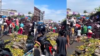 Video: ಕೊನೆಗೂ ಸ್ವಾತಂತ್ರ್ಯ ಸಿಕ್ತು; ನದಿ ದಾಟಿ ಓಡುತ್ತಾ ಕಾಡು ಸೇರಿದ ಚಿರತೆ