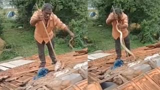 ಹಲೋ ನಿಮ್ಮ ಸಮವಸ್ತ್ರ ಎಲ್ಲಿದೆ? ತರಗತಿಯೊಳಗೆ ಬಂದು ಬಾಲಕನ ಪಕ್ಕದಲ್ಲಿ ಕೂತ ಶ್ವಾನ, ಕ್ಯೂಟ್​​ ವಿಡಿಯೋ ಇಲ್ಲಿದೆ ನೋಡಿ