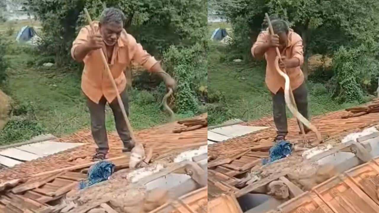 Video: ಅಬ್ಬಬ್ಬಾ… ಹೂವು ಹಿಡಿದಷ್ಟು ಸಲೀಸಾಗಿ ನಾಗರಹಾವು ಹಿಡಿದ ವ್ಯಕ್ತಿ Video: ಅಬ್ಬಬ್ಬಾ… ಹೂವು ಹಿಡಿದಷ್ಟು ಸಲೀಸಾಗಿ ನಾಗರಹಾವು ಹಿಡಿದ ವ್ಯಕ್ತಿ