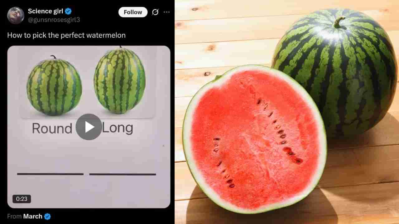 Video : ರಸಭರಿತ ತಾಜಾ ಕಲ್ಲಂಗಡಿ ಹಣ್ಣನ್ನು ಗುರುತಿಸೋದು ಹೇಗೆ? ಇಲ್ಲಿದೆ ಸಿಂಪಲ್ ಟ್ರಿಕ್ಸ್