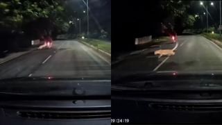 Video: ಇದು ಮಾಮೂಲಿ ಕಿಂಡರ್ ಗಾರ್ಡನ್ ಅಲ್ಲ, ಜೀವನ ಪಾಠ ಕಲಿಸುವ ಶಾಲೆ