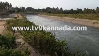 Video: ನಮೀಬಿಯಾದ ಸಾಂಪ್ರದಾಯಿಕ ಡ್ರಮ್ ನುಡಿಸಿದ ಪ್ರಧಾನಿ ಮೋದಿ
