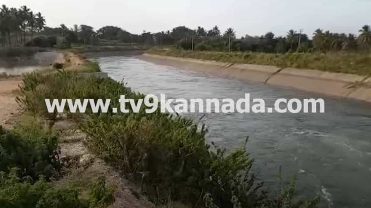 ಕೆಆರ್ಎಸ್ ಜಲಾಶಯದಿಂದ ವಿಶ್ವೇಶ್ವರಯ್ಯ ನಾಲೆಗೆ ಹರಿದ ನೀರು, ಮಂಡ್ಯಭಾಗದ ರೈತರಲ್ಲಿ ಸಂತಸ ಕೆಆರ್ಎಸ್ ಜಲಾಶಯದಿಂದ ವಿಶ್ವೇಶ್ವರಯ್ಯ ನಾಲೆಗೆ ಹರಿದ ನೀರು, ಮಂಡ್ಯಭಾಗದ ರೈತರಲ್ಲಿ ಸಂತಸ