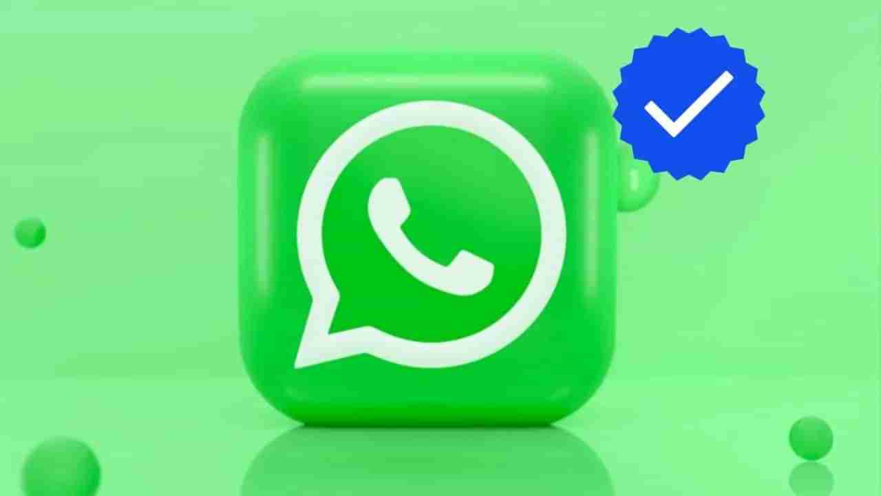 WhatsApp Blue Tick: ವಾಟ್ಸ್ಆ್ಯಪ್​ನಲ್ಲಿ ಬ್ಲೂ ಟಿಕ್ ಪಡೆಯುವುದು ಹೇಗೆ?: ಜಸ್ಟ್ ಹೀಗೆ ಮಾಡಿ ಸಾಕು