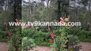 ‘ಯುದ್ಧ ಬಂದಾಗ ಶಸ್ತ್ರಾಭ್ಯಾಸ ಮಾಡುವವನು ನಾನಲ್ಲ’; ಕೆ ಕಲ್ಯಾಣ್