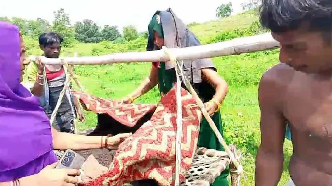 ಮಧ್ಯಪ್ರದೇಶ: ಆ ಊರಿಗೆ ವಾಹನವೇ ಬರೋದಿಲ್ಲ,  ಮನೆಯಲ್ಲೇ ಅವಳಿ ಶಿಶುಗಳಿಗೆ ಜನ್ಮ ನೀಡಿದ ಮಹಿಳೆ, ಒಂದು ಮಗು ಸಾವು