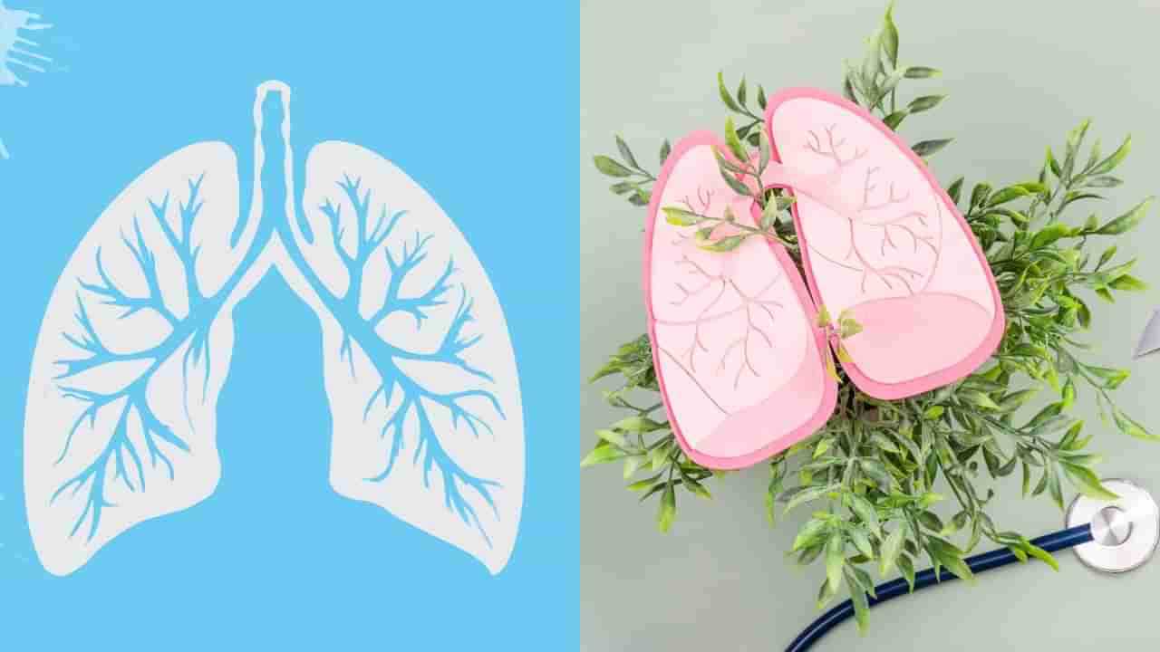 ಶ್ವಾಸಕೋಶದ ಕ್ಯಾನ್ಸರ್: ಭಯ ಬೇಡ, ಇಷ್ಟು ಮಾಡಿ ಸಾಕು