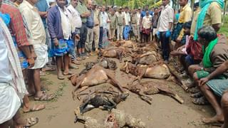 ಸಿಎಂ ಸಿದ್ದರಾಮಯ್ಯ ಬಂದುಹೋದ ನಂತರ ಬಯಲಾಯಿತು ವಿಕ್ಟೋರಿಯ ಆಸ್ಪತ್ರೆಯ ನಿಜಬಣ್ಣ