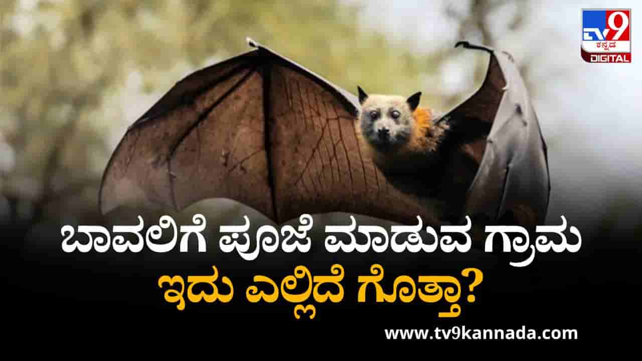 ಬಾವಲಿಗೆ ಪೂಜೆ ಮಾಡುವ ಗ್ರಾಮವಿದು, ಇದು ಎಲ್ಲಿದೆ ಗೊತ್ತಾ?