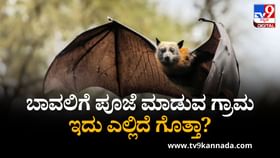 ಬಾವಲಿಗೆ ಪೂಜೆ ಮಾಡುವ ಗ್ರಾಮವಿದು ಬಾವಲಿಗೆ ಪೂಜೆ ಮಾಡುವ ಗ್ರಾಮವಿದು