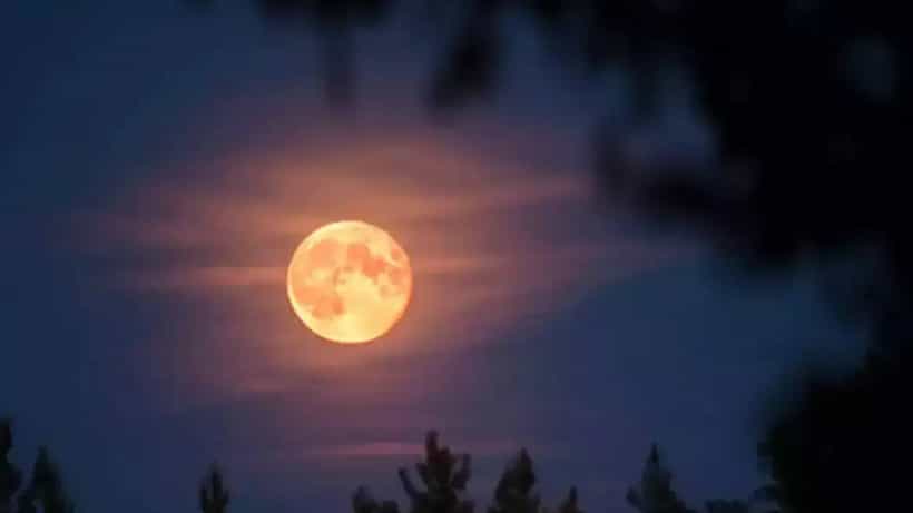 Bhadrapada Purnima 2025: ಸೆ. 07 ಎರಡನೇ ಚಂದ್ರಗ್ರಹಣ; ಈ ಎರಡು ರಾಶಿಯವರು ಅತ್ಯಂತ ಜಾಗರೂಕರಾಗಿರಿ