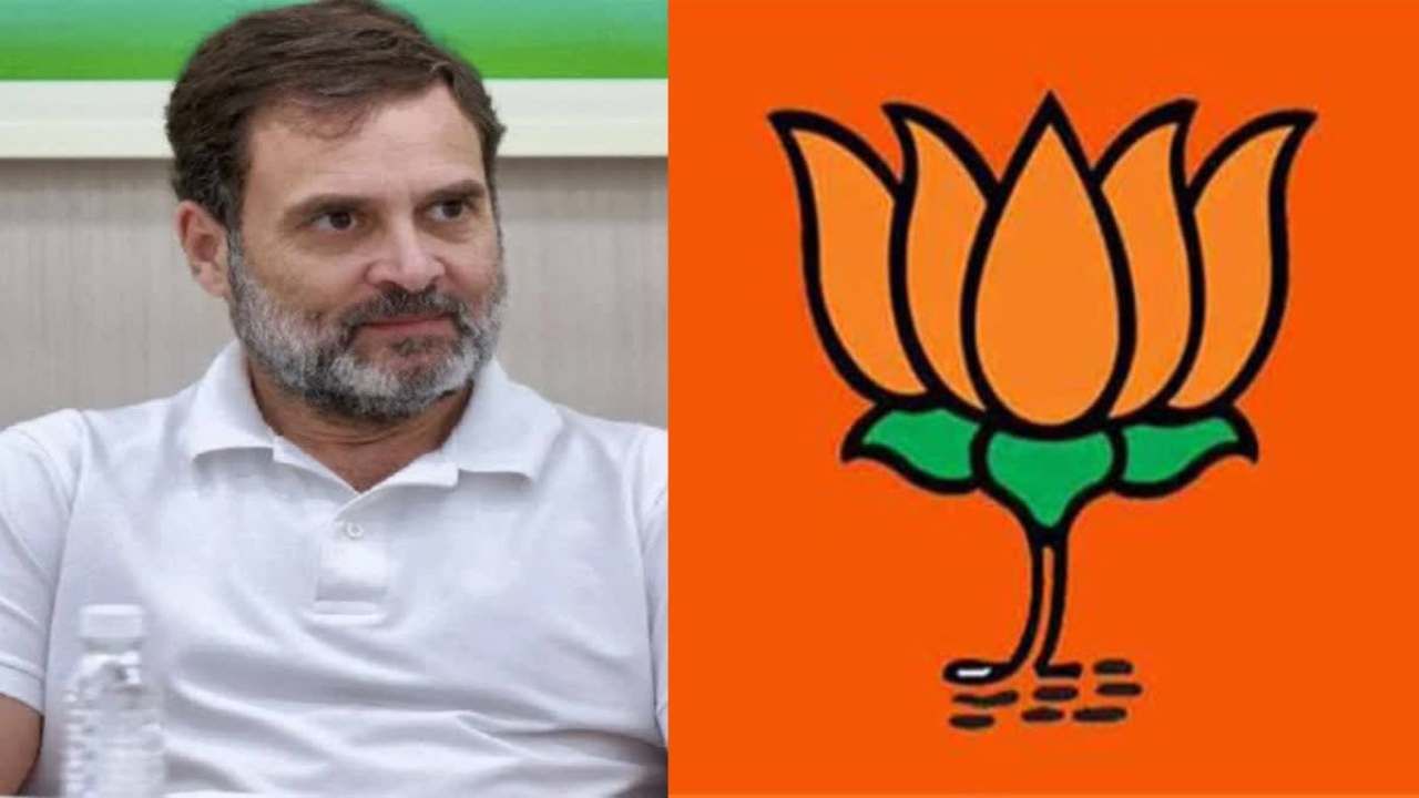 ಮತಗಳ್ಳತನ: ರಾಹುಲ್ ಗಾಂಧಿ ಆರೋಪಕ್ಕೆ ತಿರುಗೇಟು ನೀಡಲು ಮುಂದಾದ ಬಿಜೆಪಿ
