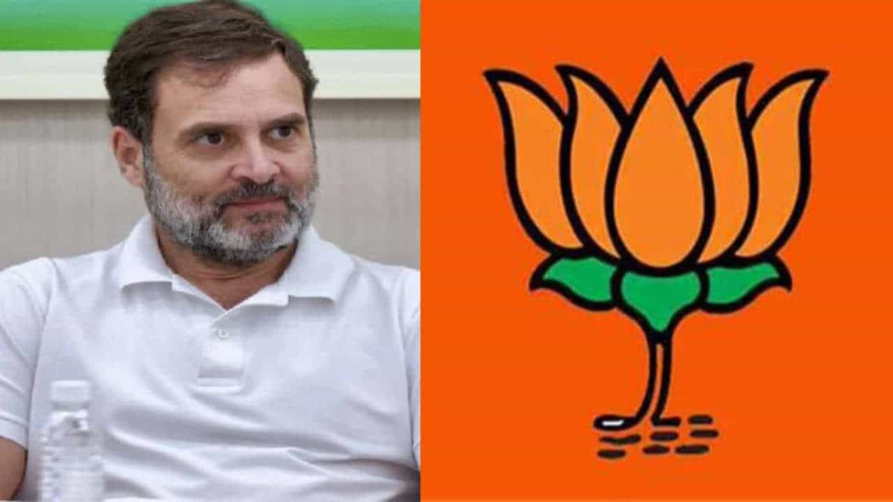 ಮತಗಳ್ಳತನ: ರಾಹುಲ್ ಗಾಂಧಿ ಆರೋಪಕ್ಕೆ ತಿರುಗೇಟು ನೀಡಲು ಮುಂದಾದ ಬಿಜೆಪಿ ಮತಗಳ್ಳತನ: ರಾಹುಲ್ ಗಾಂಧಿ ಆರೋಪಕ್ಕೆ ತಿರುಗೇಟು ನೀಡಲು ಮುಂದಾದ ಬಿಜೆಪಿ
