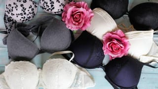 World Mosquito Day 2025: ಸೊಳ್ಳೆಗಳ ದಿನವನ್ನು ಆಚರಿಸೋದೇಕೆ ಗೊತ್ತಾ? ಇದರ ಹಿಂದೆಯೂ ಇದೆ ಒಂದು ಕಾರಣ