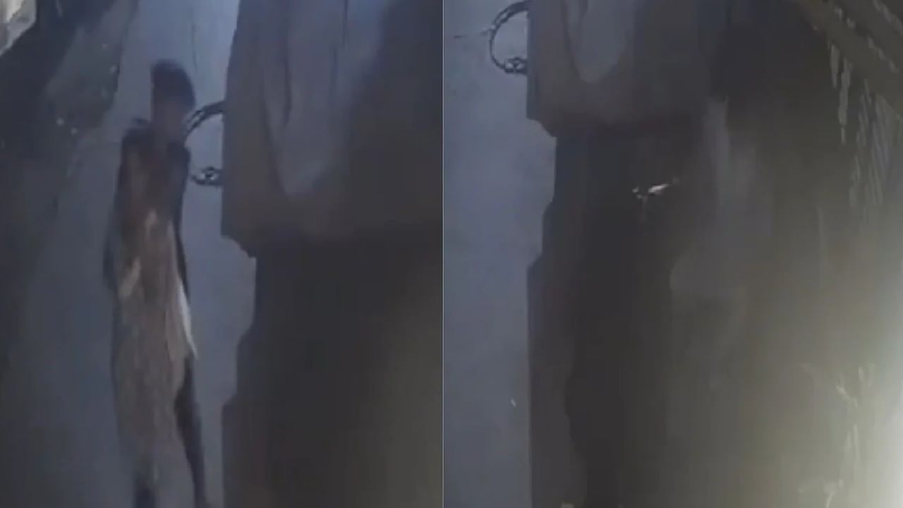 ದೆಹಲಿಯಲ್ಲಿ ರಸ್ತೆ ಮಧ್ಯೆ ಮಹಿಳೆಯಿಂದ ಸರ ದೋಚಿ, ಕೊಂದು ಪರಾರಿ ದೆಹಲಿಯಲ್ಲಿ ರಸ್ತೆ ಮಧ್ಯೆ ಮಹಿಳೆಯಿಂದ ಸರ ದೋಚಿ, ಕೊಂದು ಪರಾರಿ