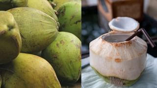 ಎದೆ ನೋವು ಮಾತ್ರವಲ್ಲ: ಪಾರ್ಶ್ವವಾಯು ಬರುವ ಮೊದಲು ದೇಹ ನೀಡುವ ಈ 4 ಸೂಚನೆಗಳನ್ನು ಕಡೆಗಣಿಸಬೇಡಿ